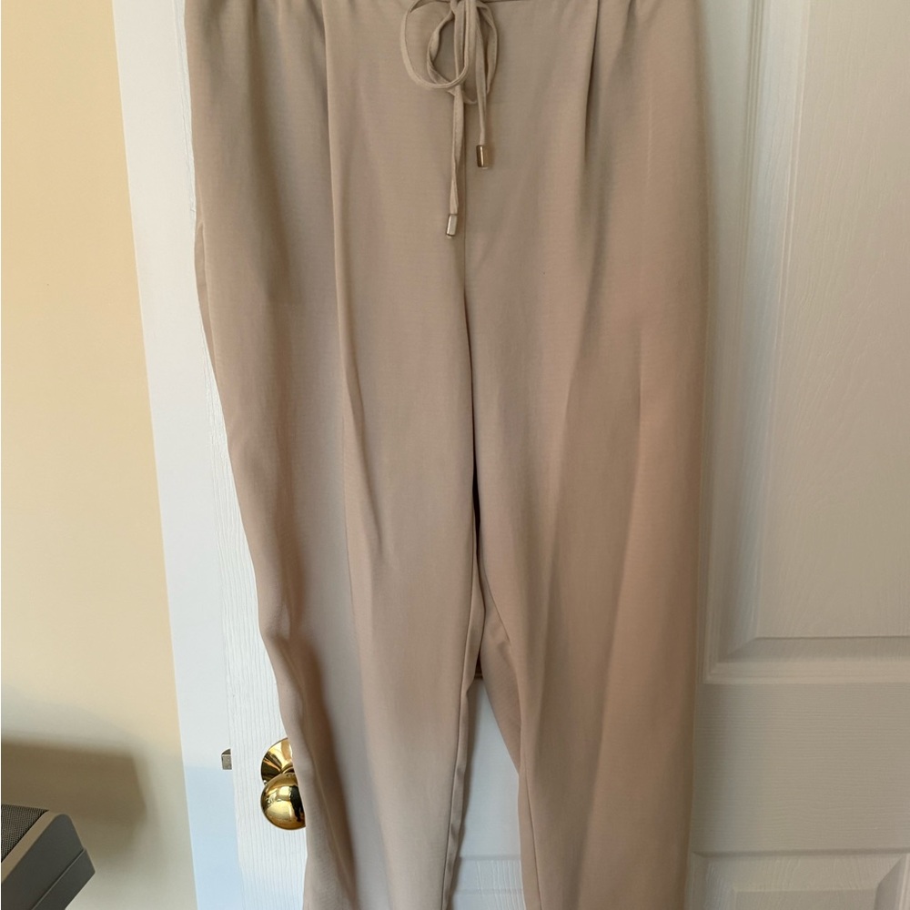 Zara Neutral Drawstring Waist Pants in Light Beige